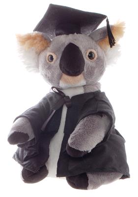 UNSW Graduate Koala Silky-feel Medium