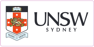 UNSW Car Sticker 170mm x 83.36mm
