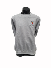 Unsw hoodie top