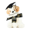Graduate Puppy ( Dog )